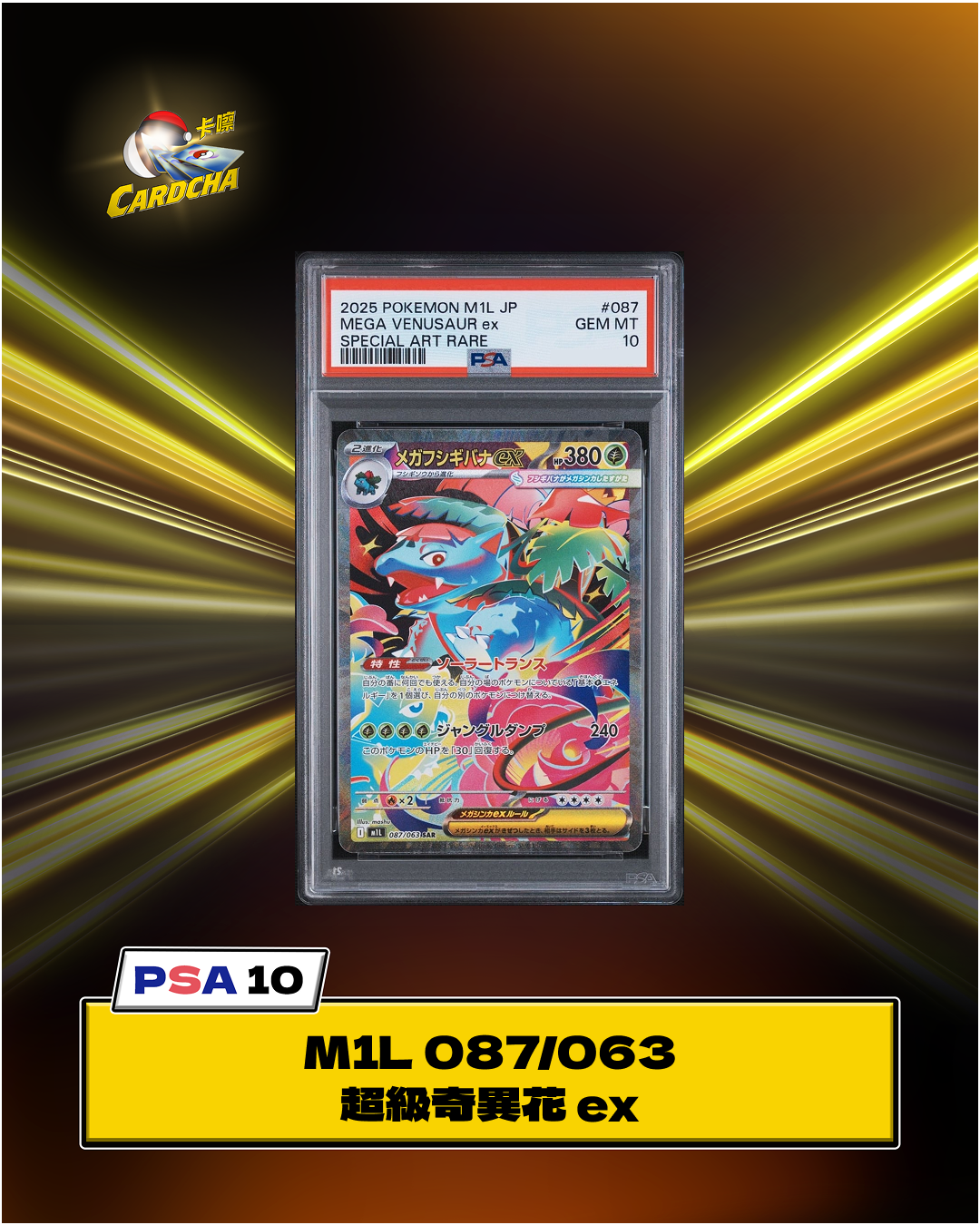 [PSA10] M1L 087/063 超級奇異花 ex SAR