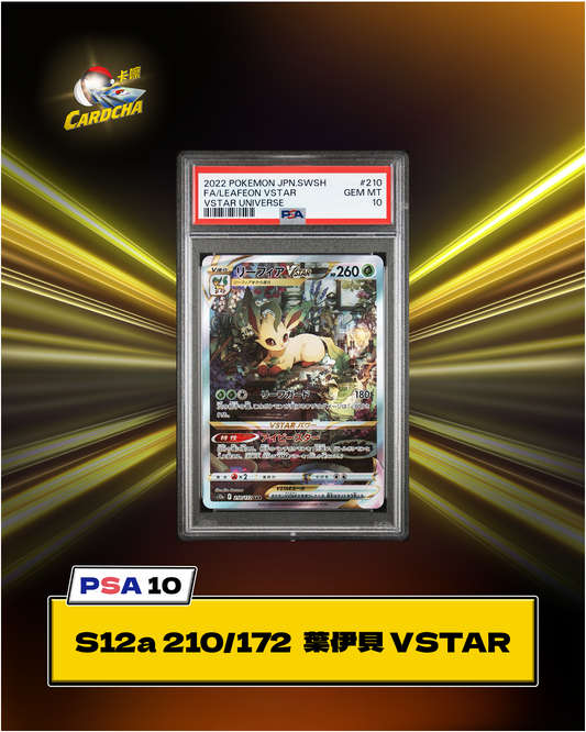  ［PSA10］S12a 210/172 葉伊貝 SAR