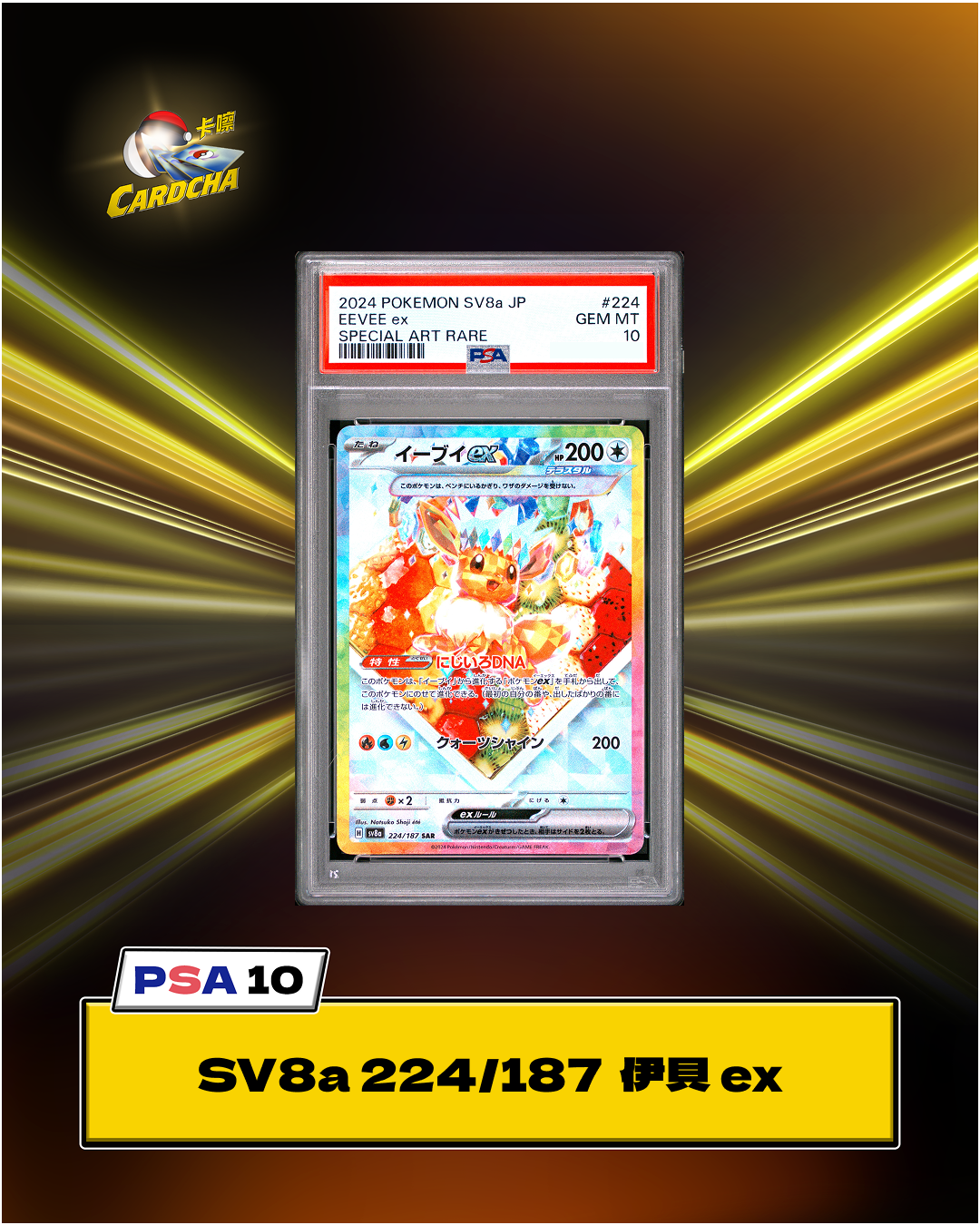［PSA10］SV8a 224/187 伊貝 ex SAR