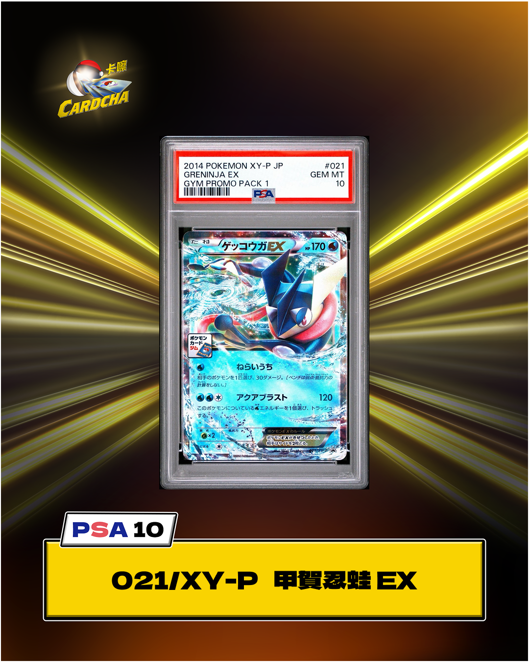 [PSA10] 021/XY-P 甲賀忍蛙 EX